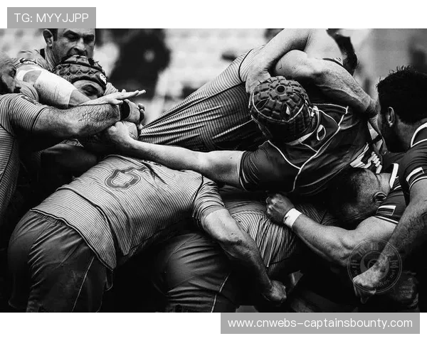 体育主题摄影展吸引非传统受众，拓展文化传播边界